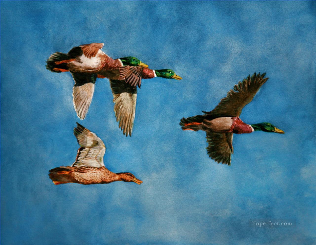 mallards flying watercolor birds Oil Paintings